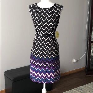 NWT Career Dress
